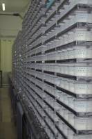 Fabrication du fromage - Salle de maturation du caillé